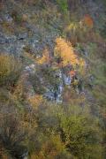 Стена. Каменные склоны долины речки Русава, Винницкая область, Геологические достопримечательности 