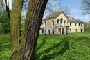 Holoby. Vilgov manor house and old tree, Volyn Region, Country Estates 