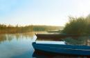 Shatsky park. Morning on Svitiaz, Volyn Region, National Natural Parks 