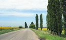 Voloske. Near Dnieper highway, Dnipropetrovsk Region, Roads 