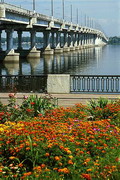 Днепропетровск. Цветущий правый берег у Центрального моста, Днепропетровская область, Города 