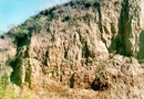 Старые Кодаки. Лессовидный суглинок, Днепропетровская область, Геологические достопримечательности 