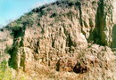 Stari Kodaky. Loess-like loam, Dnipropetrovsk Region, Geological sightseeing 