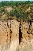 Stari Kodaky. Quaternary rocks, Dnipropetrovsk Region, Geological sightseeing 