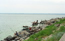 Nikopol. Urban fishermen at dam, Dnipropetrovsk Region, Cities 