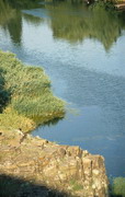 Кривий Ріг. Інколи скелі нависають над річкою, Дніпропетровська область, Геологічні пам’ятки 