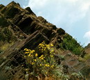 Kryvyi Rih. Iron and flowers, Dnipropetrovsk Region, Geological sightseeing 