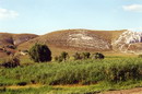 Bilokuzmynivka. Rushes of floodplain of river Bilenka, Donetsk Region, Geological sightseeing 