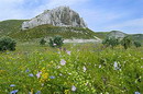 Bilokuzmynivka. Late Cretaceous rock, Donetsk Region, Geological sightseeing 