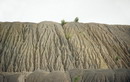 Dokuchaevsk. Erosion furrow on industrial dumps, Donetsk Region, Towns 