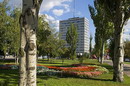 Donetsk. In park of A. Gorky, Donetsk Region, Cities 