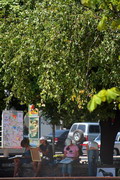 Donetsk. Student open-air in park of Gorky, Donetsk Region, Cities 