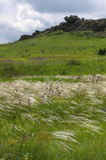 Kamiani Mohyly Reserve. Feather, Donetsk Region, Geological sightseeing 