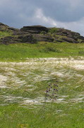 Kamiani Mohyly Reserve. Feather, Donetsk Region, Geological sightseeing 