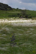 Kamiani Mohyly Reserve. Feather, Donetsk Region, Natural Reserves 