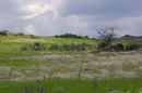 Kamiani Mohyly Reserve. Feather, Donetsk Region, Natural Reserves 