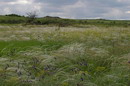 Kamiani Mohyly Reserve. Feather, Donetsk Region, Natural Reserves 