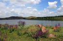 Kamiani Mohyly Reserve. Pond on creek Karatysh, Donetsk Region, Natural Reserves 