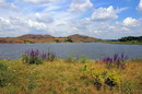 Kamiani Mohyly Reserve. Reserve pond, Donetsk Region, Natural Reserves 