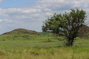 Kamiani Mohyly Reserve. Landscape, Donetsk Region, Natural Reserves 
