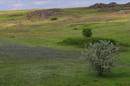 Kamiani Mohyly Reserve. Preservation landscape, Donetsk Region, Natural Reserves 