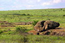 Kamiani Mohyly Reserve. Preservation landscape, Donetsk Region, Geological sightseeing 