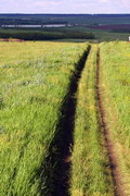 Kamiani Mohyly Reserve. Steppe road, Donetsk Region, Roads 