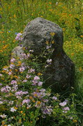 Kamiani Mohyly Reserve. Granite beauty, Donetsk Region, Geological sightseeing 