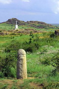 Kamiani Mohyly Reserve. Protected symbols, Donetsk Region, Natural Reserves 