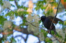 Kamiani Mohyly Reserve. Shouted out, Donetsk Region, Natural Reserves 