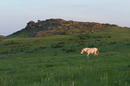 Kamiani Mohyly Reserve. Home fowl, Donetsk Region, Geological sightseeing 