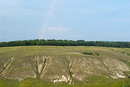 Kreidiana Flora Reserve. White-green reserve gamma, Donetsk Region, Natural Reserves 