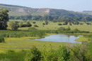 Kreidiana Flora Reserve. Prydonetska floodplain, Donetsk Region, Natural Reserves 