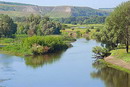 Kreidiana Flora Reserve. Floodplain forest, Donetsk Region, Rivers 