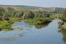 Kreidiana Flora Reserve. Siverskyi Donets river, Donetsk Region, Natural Reserves 