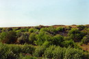 Novokaterynivka. Neglected and overgrown quarry, Donetsk Region, Geological sightseeing 