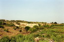 Novokaterynivka. Remains of carboxylic argillites, Donetsk Region, Geological sightseeing 