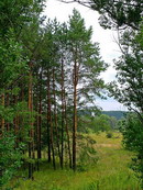 Park Sviati Gory. On right bank of Siverskyi Donets, Donetsk Region, National Natural Parks 