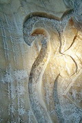 Soledar. Fragment of bas-relief salt, Donetsk Region, Museums 