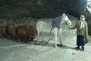 Соледар. Реконструкция давней добычи соли, Донецкая область, Музеи 