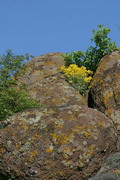 Starolaspa. Lichen granites, Donetsk Region, Geological sightseeing 