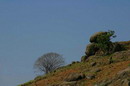 Starolaspa. Steppe granite outcrops, Donetsk Region, Geological sightseeing 