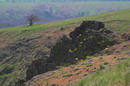 Starolaspa. Rocky pile, Donetsk Region, Geological sightseeing 