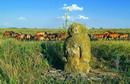 Reserve Khomutovsky Steppe. Polovetsian woman, Donetsk Region, Natural Reserves 