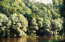 Siverskyi Donets in Sviatogirsk, Donetsk Region, Rivers 