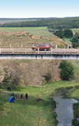 Flowery channel of river Small Kalchyk, Donetsk Region, Rivers 