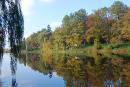 Andrushivka. Virgin surface of pond water, Zhytomyr Region, Country Estates 