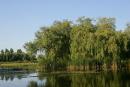 Berdychiv. River spilled Gnylopiat, Zhytomyr Region, Rivers 