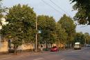 Zhytomyr. On city street, Zhytomyr Region, Cities 