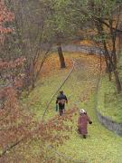 Zhytomyr. Rustling leaves underfoot, Zhytomyr Region, Cities 